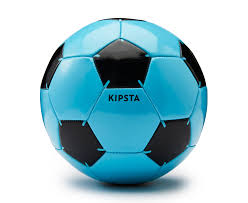 用户案例李女士